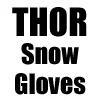Virtual Trade Show, THOR Snow Gloves
