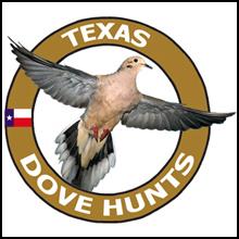 Texas Dove Hunts, texashuntingnews.com