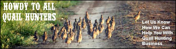 Texas Quail Hunts, texashuntingnews.com